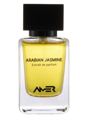 Arabian Jasmine