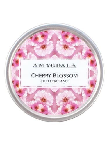 Cherry Blossom