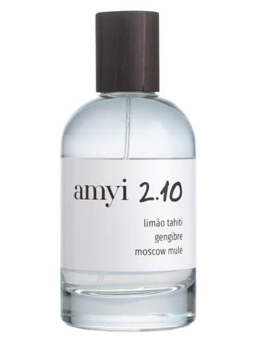 Amyi 2.10