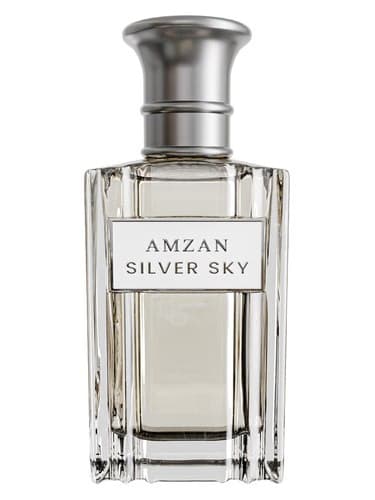 Silver Sky