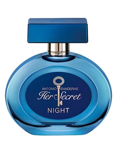 Her Secret Night
