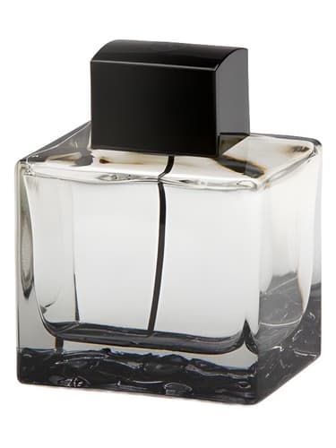 Splash Seduction In Black