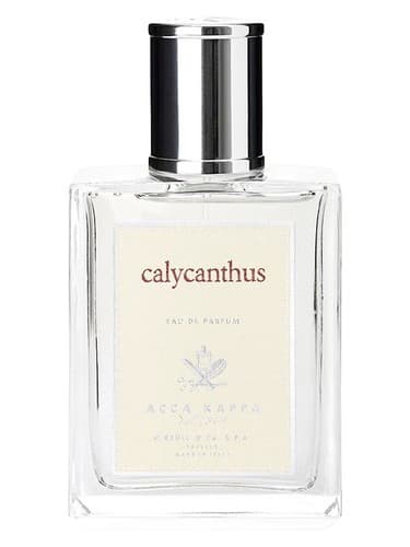 Calycanthus