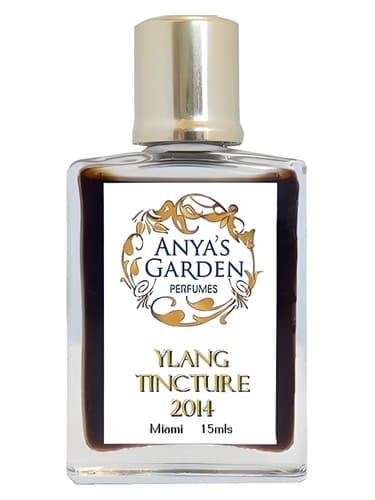 Ylang Tincture 2014