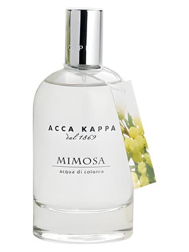 Mimosa