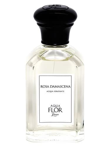 Rosa Damascena