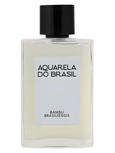 Bambu Brasiliensis