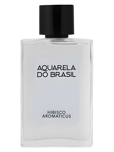 Hibisco Aromaticus