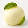 Sorbet