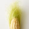 Corn Silk