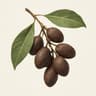 Coffee Tree