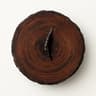 Ebony Tree