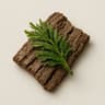 Hinoki Wood