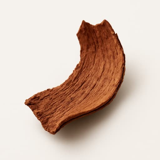 Indian Woods