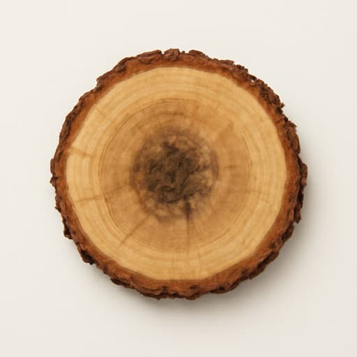 Kyara wood
