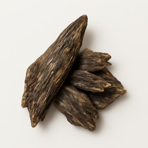 Laotian Oud
