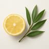 Manuka