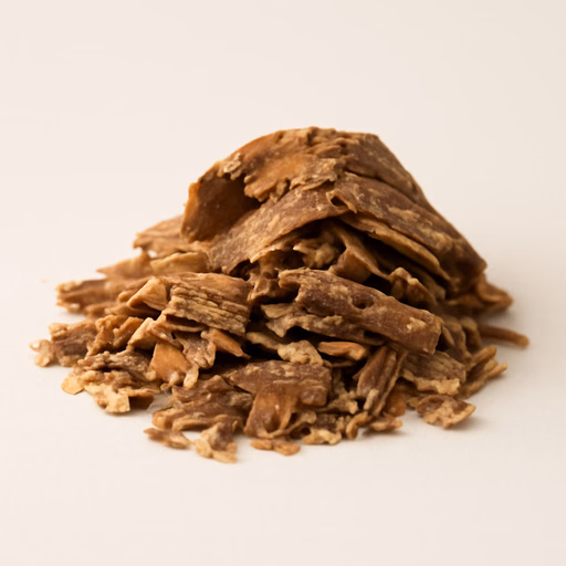 Sassafras
