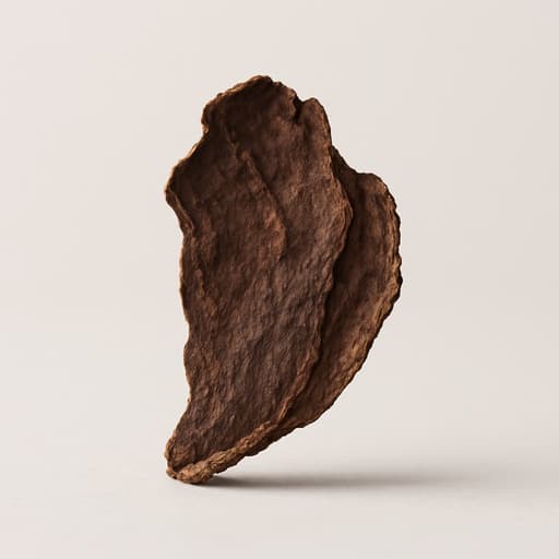 Bakhoor