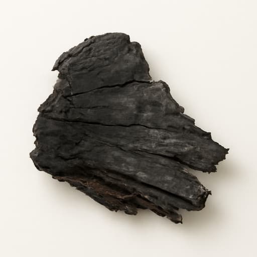 Birch Tar
