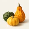 Flowering Gourd