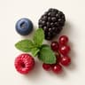 Forest Fruits