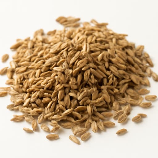 Carrot Seeds
