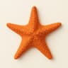 Starfish