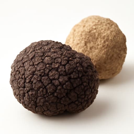 Truffle
