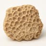 Coral Limestone