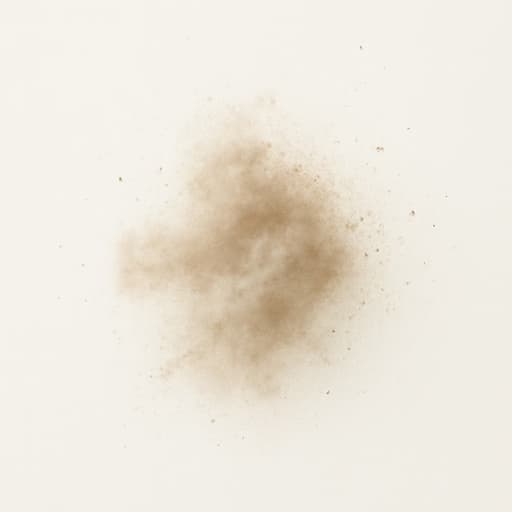 Dust