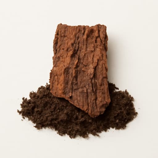 Earthy Notes