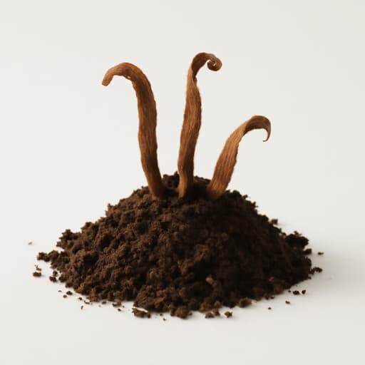Peat