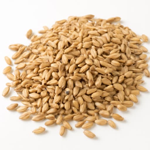 Malt