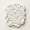 Wet Plaster