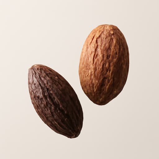 Cocoa Pulse™