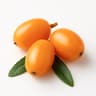 Sea Buckthorn