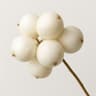 Snowberry