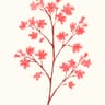 Alumroot