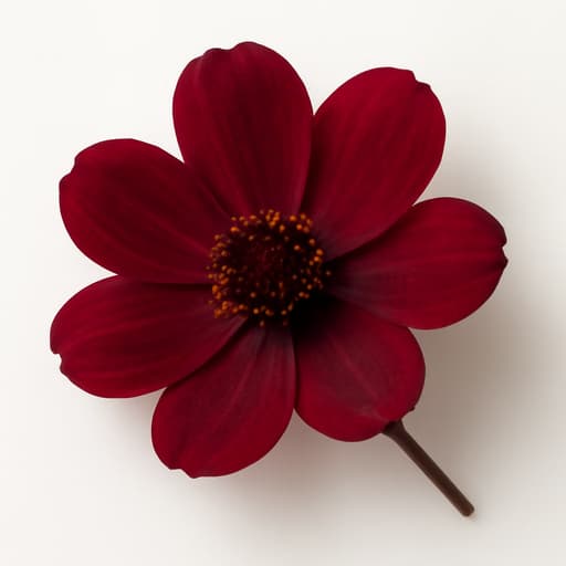 Chocolate Flower