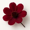 Chocolate Flower