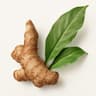 Costus