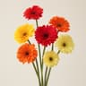 Floral Notes