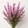 Heather