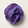 Heliotrope