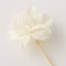 Litchi Blossom