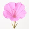 Mirabilis
