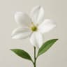 Pinwheel Flower