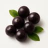Acai Berry