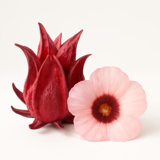 Roselle